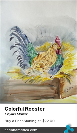Colorful Rooster by Phyllis Muller - Painting