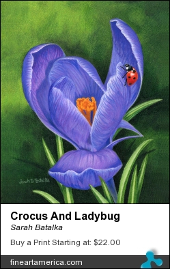 Crocus And Ladybug by Sarah Batalka - Painting - Prismacolor Colored Pencil