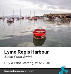 Lyme Regis Harbour by Susie Peek-Swint - Photograph