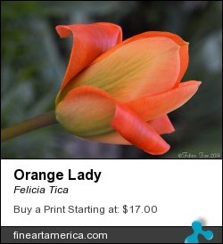 Orange Lady by Felicia Tica - Photograph - Photo