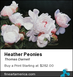 Heather Peonies by Thomas Darnell - Painting - Oil On Canvas
