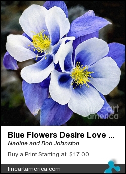 Blue Flowers Desire Love And by Nadine and Bob Johnston - Photograph - Digital Texture - Special: Greeting Or Note Cards - Save 50% Or More 10 Or 25 Packs