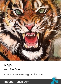 Raja by Tom Carlton - Painting - Acrylic Paint