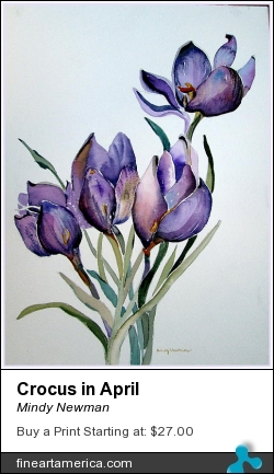 Crocus In April by Mindy Newman - Painting - Watercolor On Archival Paper Or Canvas