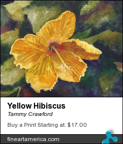 Yellow Hibiscus by Tammy Crawford - Painting - Watercolor