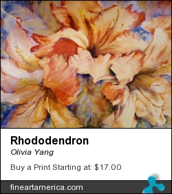Rhododendron by Olivia Yang - Painting - Watercolor