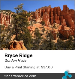 Bryce Ridge by Gordon Hyde - Photograph - Landscape