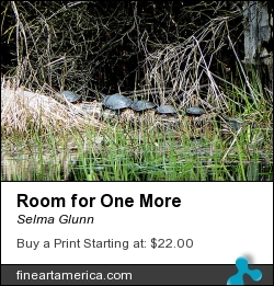 Room For One More by Selma Glunn - Photograph