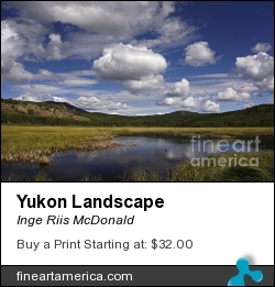 Yukon Landscape by Inge Riis McDonald - Photograph - Photography