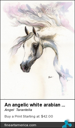 An Angelic White Arabian Mare by Angel  Tarantella - Painting - Ink And Watercolors
