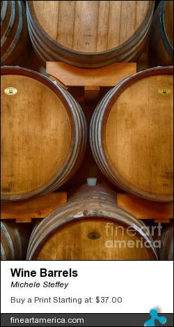 Wine Barrels by Michele Steffey - Photograph - Digital Photography