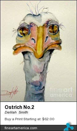 Ostrich No.2 by Delilah  Smith - Painting - Watercolor