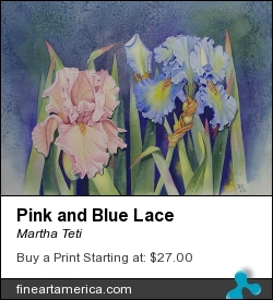 Pink And Blue Lace by Martha Teti - Painting - Watercolor