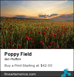 Poppy Field by Ian Hufton - Photograph - Photograph