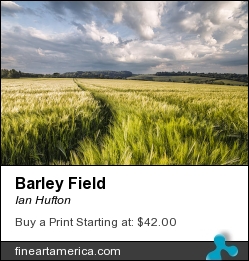 Barley Field by Ian Hufton - Photograph - Photograph