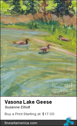Vasona Lake Geese by Suzanne Elliott - Painting - Oil