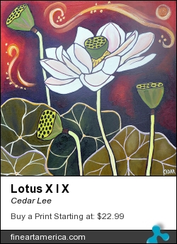 Lotus X I X by Cedar Lee - Painting - Oil On Wood