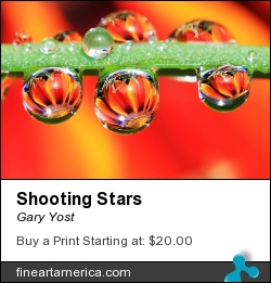Shooting Stars by Gary Yost - Photograph - Prints