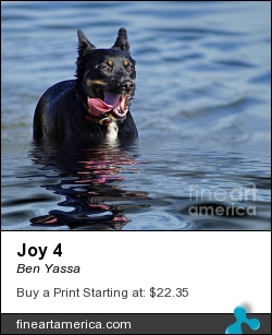 Joy 4 by Ben Yassa - Photograph