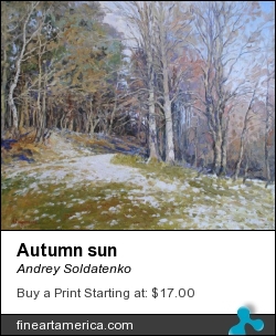 Autumn Sun by Andrey Soldatenko - Painting - Oil On Canvas