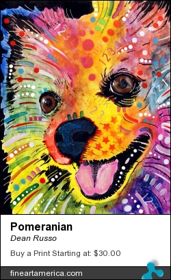 Pomeranian by Dean Russo - Painting - Fine Art Print