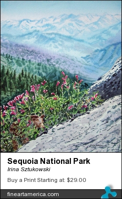 Sequoia National Park by Irina Sztukowski - Painting