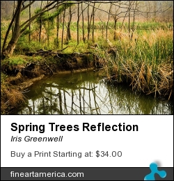Spring Trees Reflection by Iris Greenwell - Photograph - Photography
