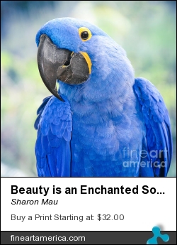 Beauty Is An Enchanted Soul by Sharon Mau - Photograph - Photograph Fine Art Photography