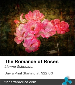 The Romance Of Roses by Lianne Schneider - Photograph - Fine Art Print
