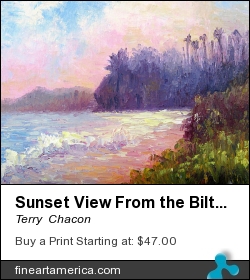 Sunset View From The Biltmore by Terry  Chacon - Painting - Oil On Canvas