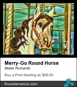 Merry-go Round Horse by Blake Richards - Photograph