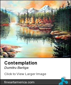 Contemplation by Dumitru Barliga - Painting - Acrylic On 20/24 Canvas