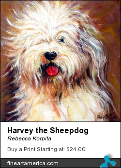 Harvey The Sheepdog by Rebecca Korpita - Painting - Acrylic