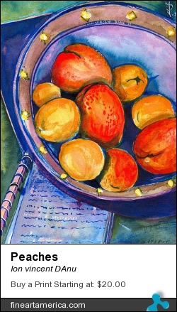 Peaches by Ion vincent DAnu - Painting - Watercolor On Canson W/c Paper