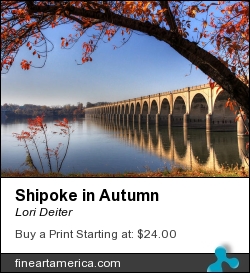 Shipoke In Autumn by Lori Deiter - Photograph - Photography