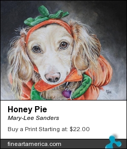 Honey Pie by Mary-Lee Sanders - Painting