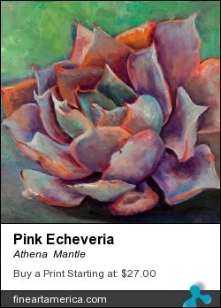 Pink Echeveria by Athena Mantle - Painting - Oil On Canvas