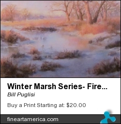 Winter Marsh Series- Fire And Ice by Bill Puglisi - Pastel - Pastel On Wallis Sanded Paper