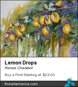 Lemon Drops by Renee Chastant - Painting - Watercolor On Paper