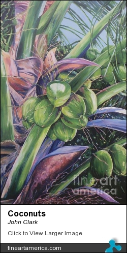 Coconuts by John Clark - Painting - Oil On Canvas