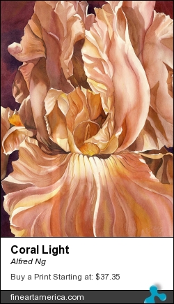 Coral Light by Alfred Ng - Painting - Watercolour On Paper