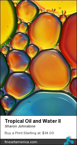 Tropical Oil And Water II by Sharon Johnstone - Photograph