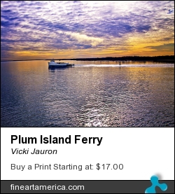Plum Island Ferry by Vicki Jauron - Photograph - Photography