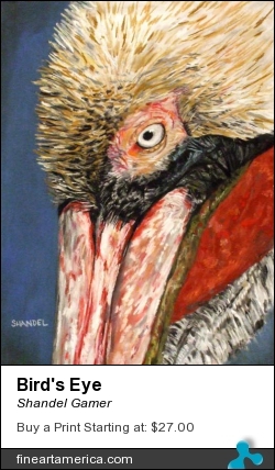 Bird's Eye by Shandel Gamer - Pastel - Pastel On Wallis Paper