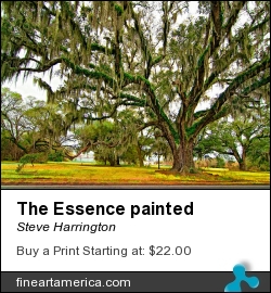 The Essence Painted by Steve Harrington - Photograph - Photography/digital Art