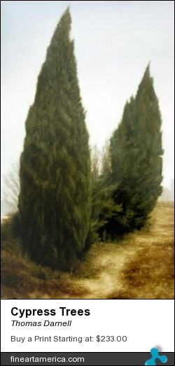 Cypress Trees by Thomas Darnell - Painting - Oil On Canvas