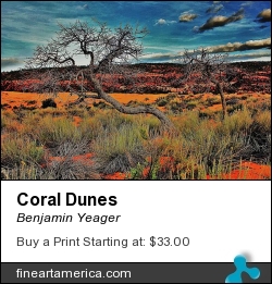 Coral Dunes by Benjamin Yeager - Photograph - Color Photo