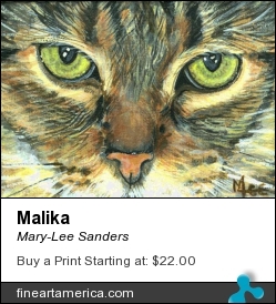 Malika by Mary-Lee Sanders - Painting - Acrylic On Canvas Board