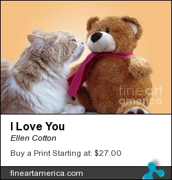 I Love You by Ellen Cotton - Photograph - Digital Art Photography