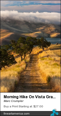Morning Hike On Vista Grande Trail by Marc Crumpler - Photograph